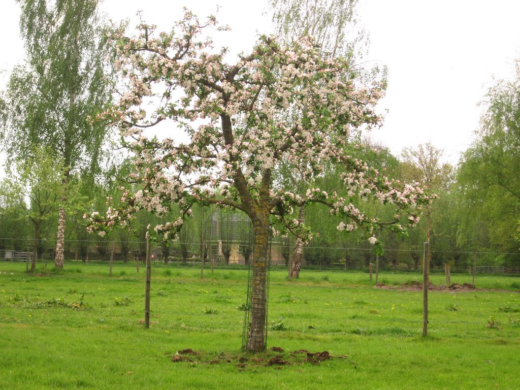 Bed And Breakfast Klein Groenbergen Leersum Exterior foto